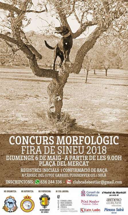 Concurso Morfológico del Ca de Bestiar Concurso Morfológico del Ca de Bestiar