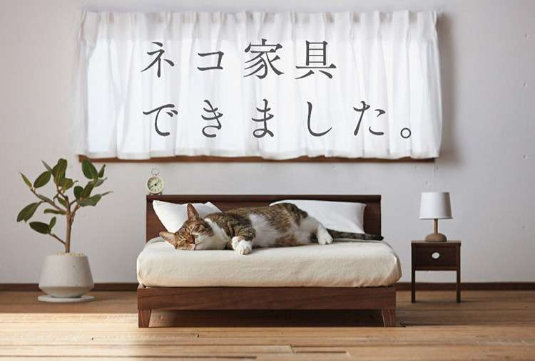 Línea de muebles para gatos en Japón