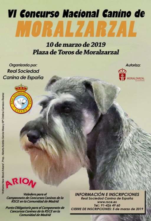 Belleza. VI Concurso Nacional Canino de Moralzarzal (Madrid   España)