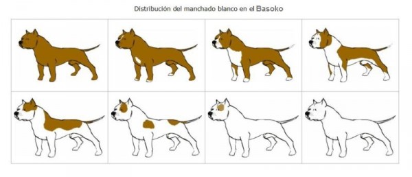 SAPN - Presa Navarro. Presa Navarro. 