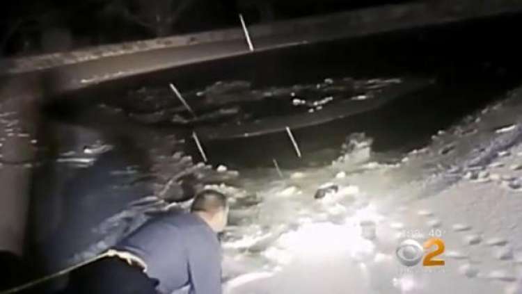 Oficial de Policía rescata a rottweiler de un estanque helado.