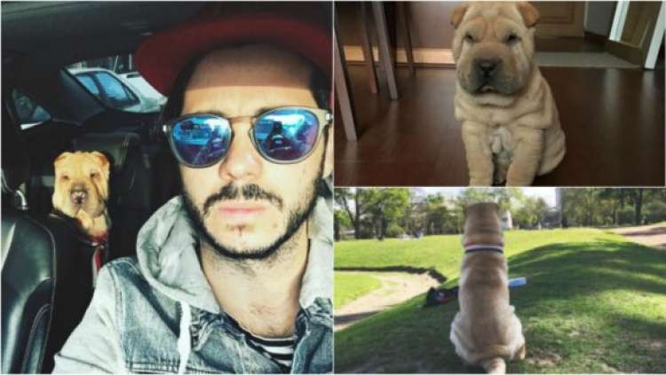 PETSmania - Nicolás Magaldi junto a su perro Randal (FOTO Instagram)