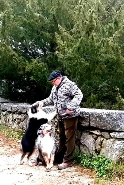 Pastor Australiano. Entrevista realizada a Carlos de Guinea (LAS MERINDADES Pastor Australiano).  Pastor Australiano. Entrevista realizada a Carlos de Guinea (LAS MERINDADES Pastor Australiano).