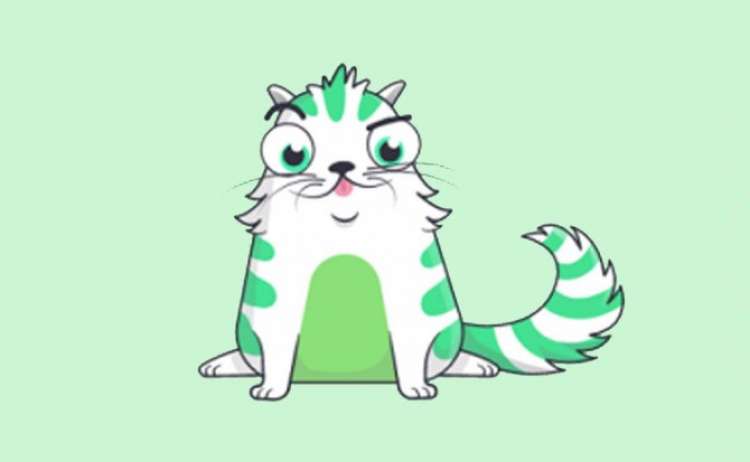 PETSmania - Este nuevo juego te permite comprar  vender y criar gatitos virtuales