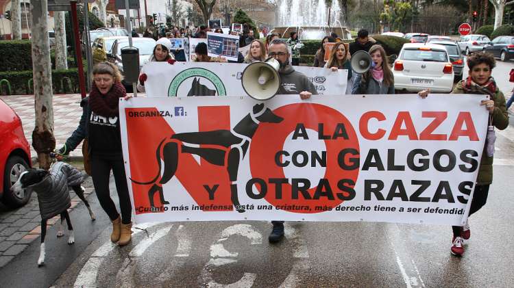 PETSmania - Ciudades de toda España manifiestan en contra de la caza con galgos y otras razas