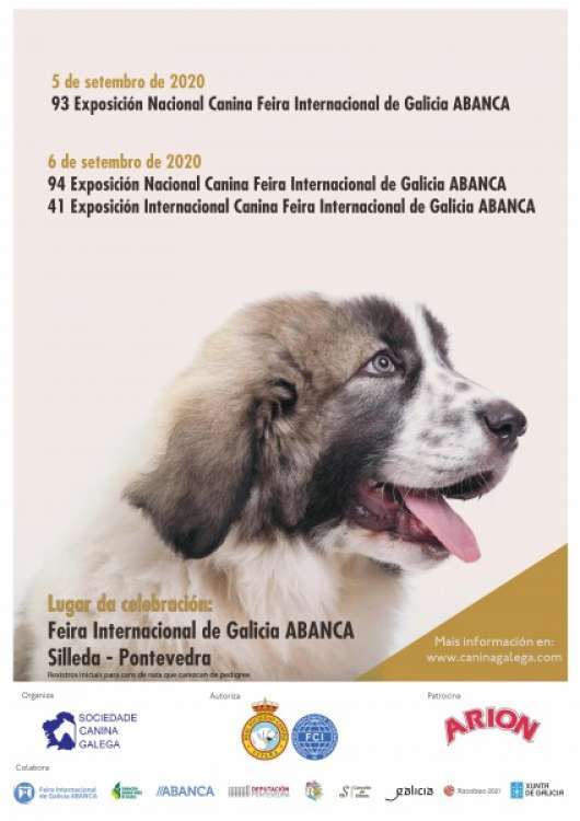 Sociedad Canina Gallega - Belleza. 94 Exposición Nacional Canina   42 Exposición Internacional Canina (Pontevedra   España)