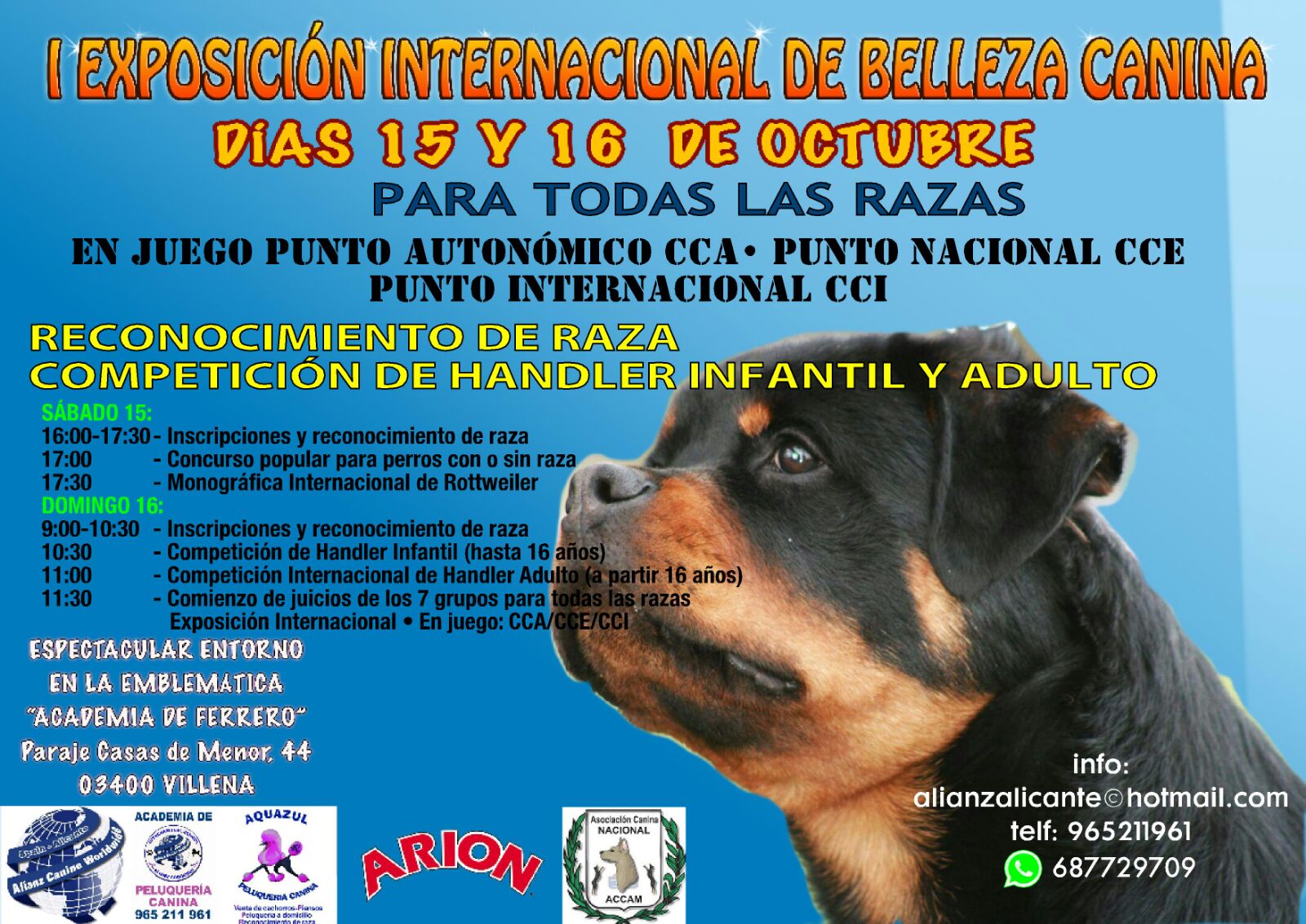 Belleza. I Exposición Internacional de Belleza Canina (Alacant   España)