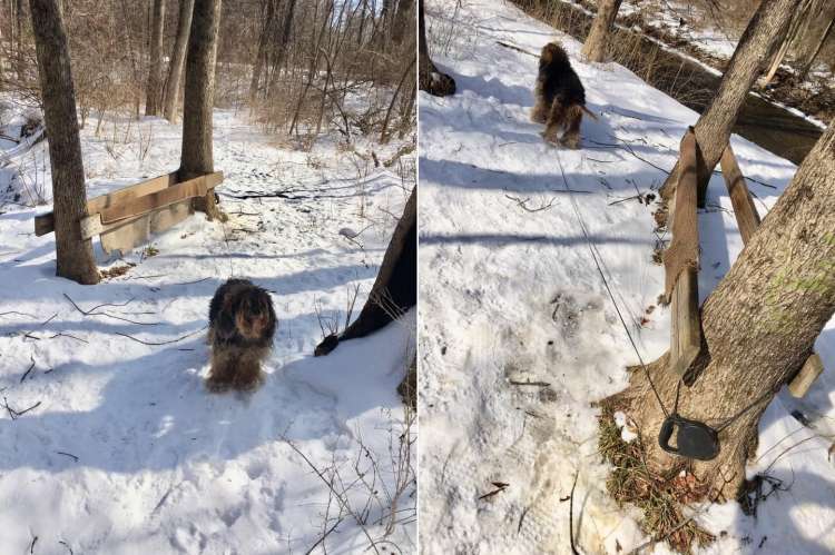 Cortesía del Departamento de Policía de Suffield.