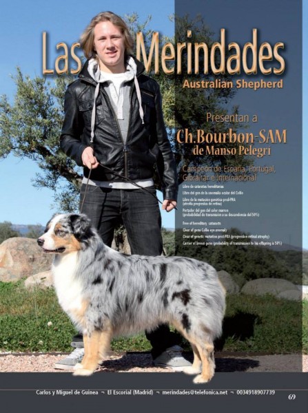 LAS MERINDADES - Pastor Australiano. Entrevista realizada a Carlos de Guinea (LAS MERINDADES Pastor Australiano). 