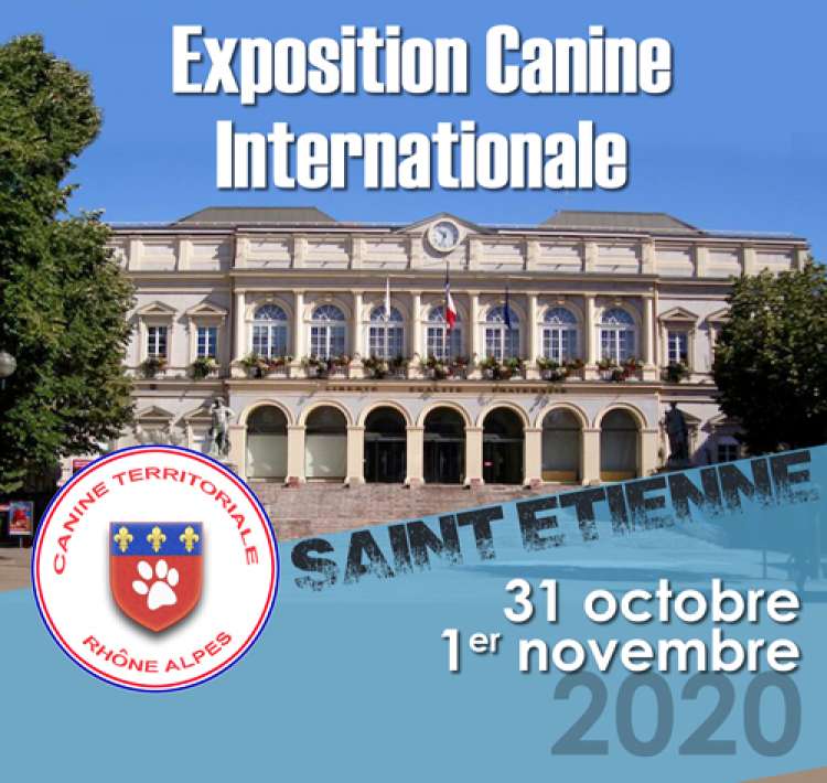 ASSOCIATION CANINE TERRITORIALE RHONE-ALPES - Belleza. EXPOSITION CANINE INTERNATIONALE (CACS   CACIB) (Loire   Francia)