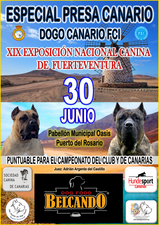 CLUB ESPAÑOL DEL DOGO CANARIO - Belleza. ESPECIAL DOGO CANARIO (Las Palmas   España)