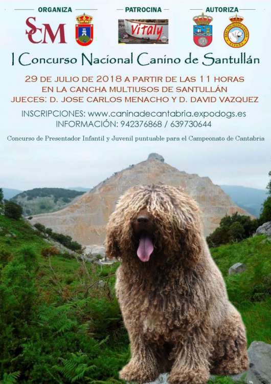 I CONCURSO NACIONAL CANINO DE SANTULLÁN