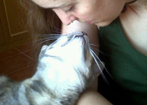 El poder sanador del gato. 