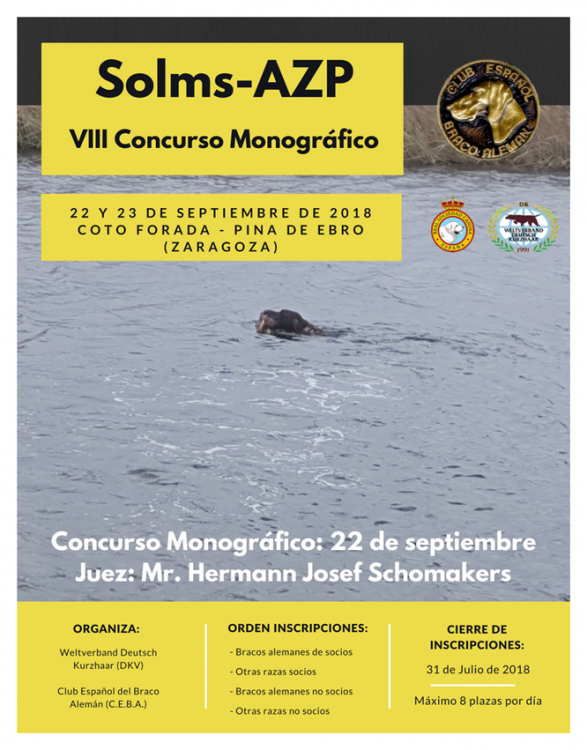 Belleza. VIII Concurso Monográfico del Braco Alemán de Pina (Zaragoza   España)