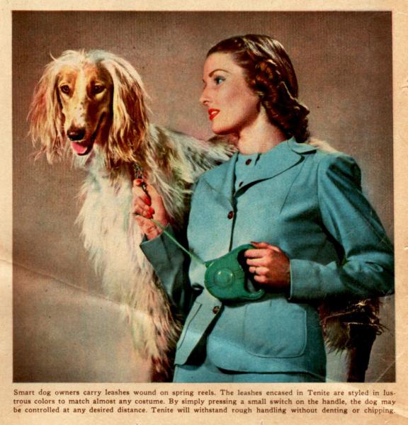 Como es la raza de perro Lebrel Afgano Foto publicitaria antigua de Lebrel Afgano Como es la raza de perro Lebrel Afgano Foto publicitaria antigua de Lebrel Afgano