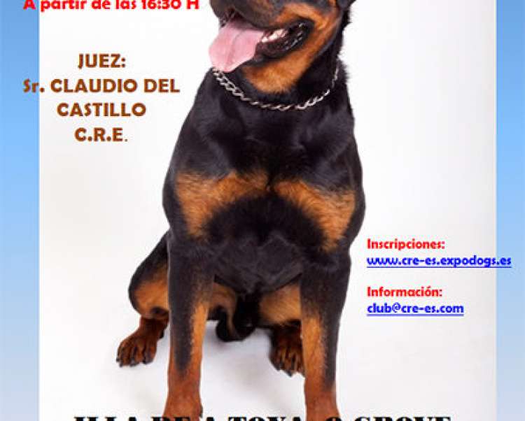 CLUB ROTTWEILER DE ESPAÑA - Belleza. XXI Concurso Nacional Monográfico del Rottweiler en Galicia (Pontevedra   España)