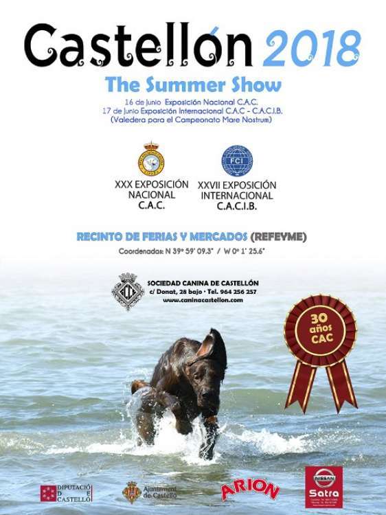 Belleza. Exposición Internacional canina CAC   CACIB (Castellón   España)