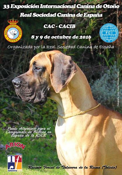 Cartel 33 Exposición Internacional canina de otoño