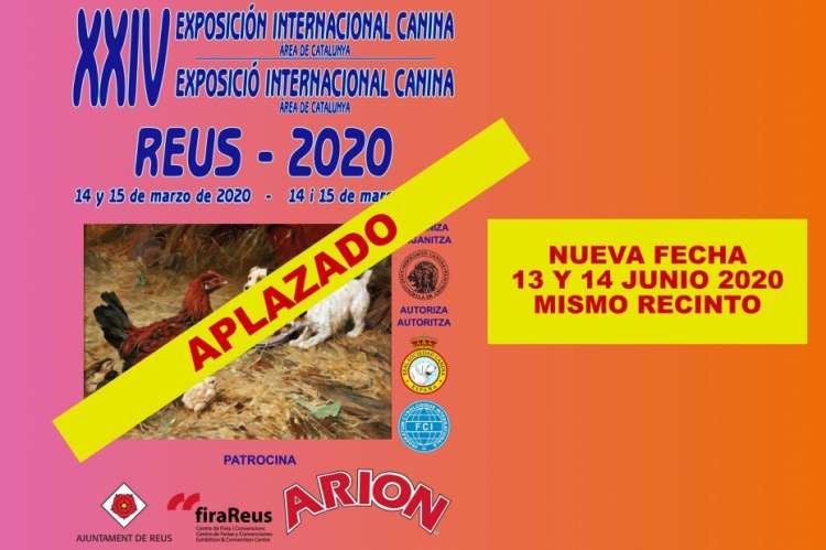 Associació Canina Unió Cinófila de Catalunya - Belleza. XXIV EXPOSICIÓN INTERNACIONAL CANINA (Tarragona   España)