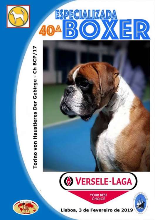 Boxer Club de Portugal - Belleza. 40.ª Exposición Canina Especializada do Boxer C.P. (Lisboa   Portugal)