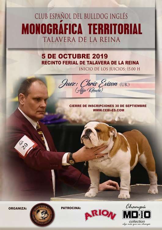 PETSmania - Bulldog Inglés.