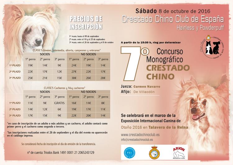 Crestado Chino Club de España - Perro Crestado Chino. Belleza. VII CONCURSO MONOGRÁFICO DEL CRESTADO CHINO (Toledo   España)