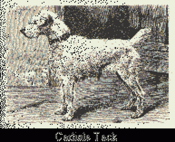 DE LAS DOCE ISLAS - Parson Russell Terrier. Carlisle Tack