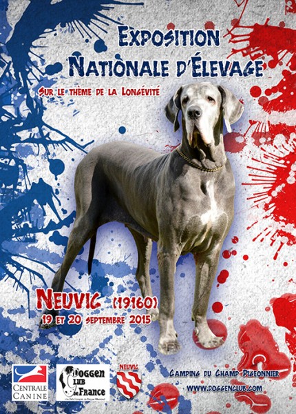 DOGGEN CLUB DE FRANCE - Dogo Alemán. 