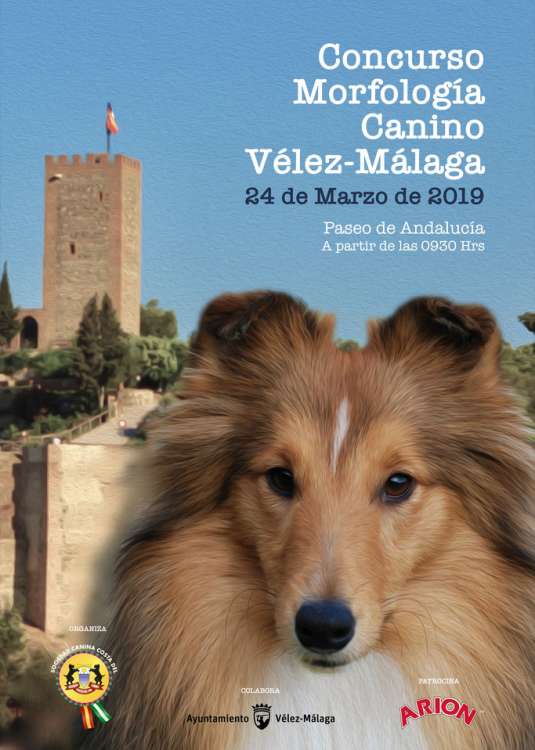 Belleza. Concurso Morfología Canino Vélez Málaga  (Málaga   España)