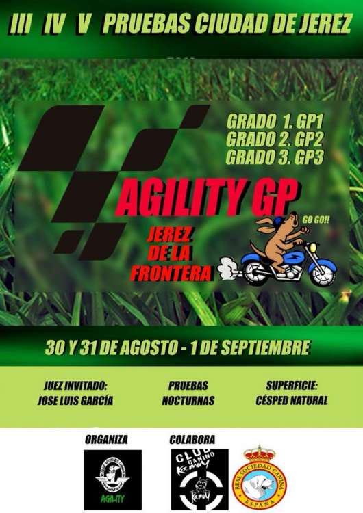 Agility. III   IV y V Pruebas de Agility de Jerez de la Frontera (Cádiz   España)