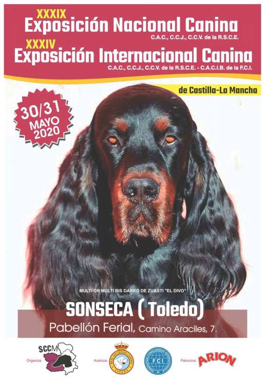 Sociedad Canina de Castilla la Mancha - Belleza. XXXIV EXPOSICIÓN CANINA INTERNACIONAL (CAC   CACIB) (Toledo   España)