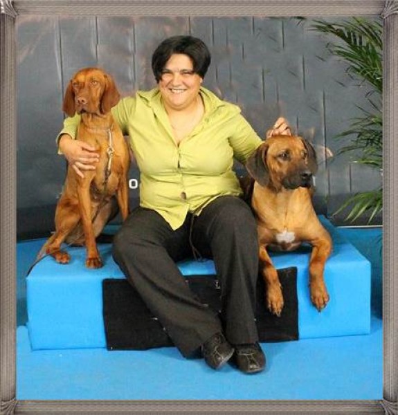 VALLEDOSLOBOS - Braco Húngaro de Pelo Corto. Entrevista realizada a Susana Pérez (VALLEDOSLOBOS - Braco Húngaro de Pelo Corto). 