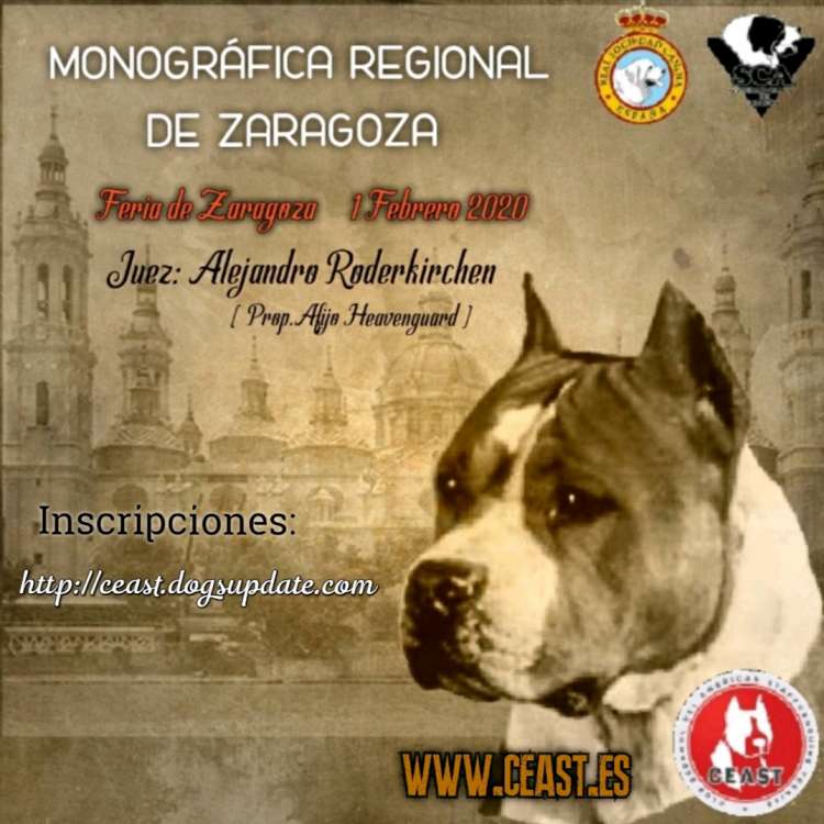 CLUB ESPAÑOL DEL AMERICAN STAFFORDSHIRE TERRIER - Belleza. MONOGRÁFICA REGIONAL DEL AMERICAN STAFFORDSHIRE TERRIER (Zaragoza   España)