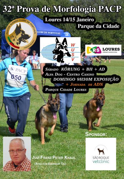 PASTOR ALEMÃO CLUBE de PORTUGAL - Pastor Alemán. Belleza. 32ª PROVA DE MORFOLOGIA PACP (Lisboa   Portugal)