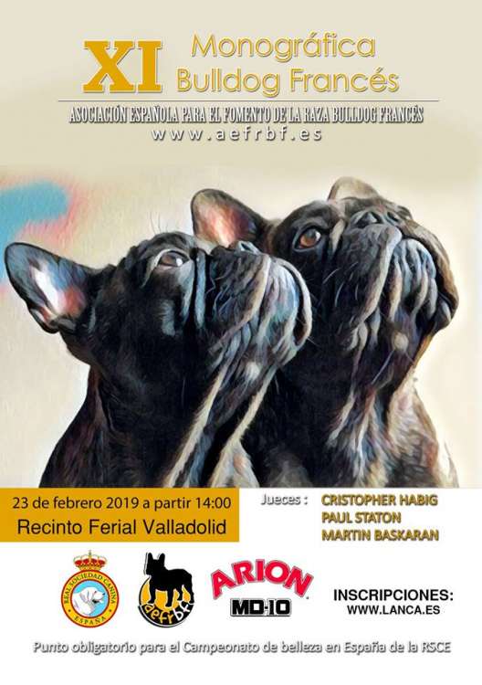 ASOCIACIÓN ESPAÑOLA PARA EL FOMENTO DE LA RAZA BULLDOG FRANCÉS - Bulldog Francés. Belleza. XI MONOGRÁFICA NACIONAL AEFRBF 2019 (Valladolid   España)