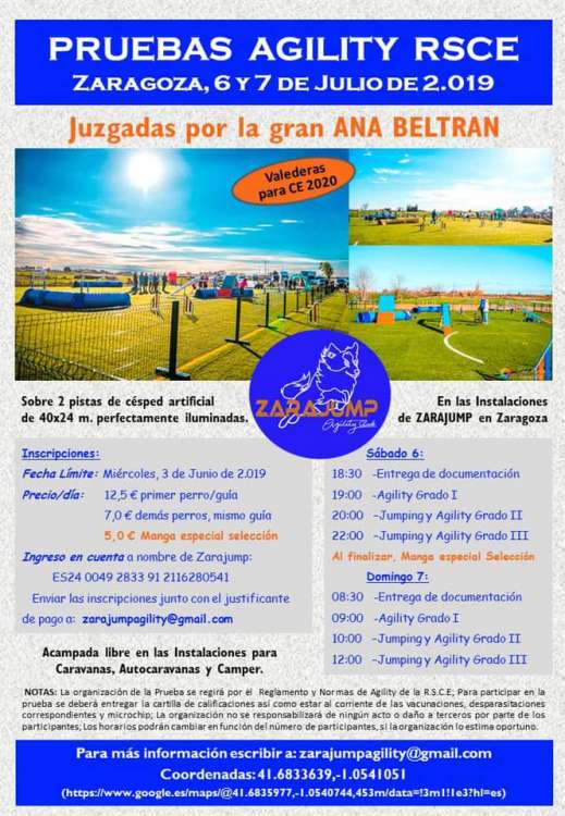 Agility. Prueba de Agility (Zaragoza   España)
