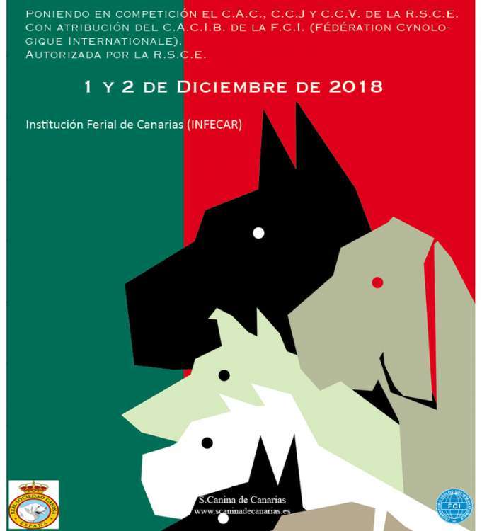 34 Exposición Internacional Canina de Las Palmas