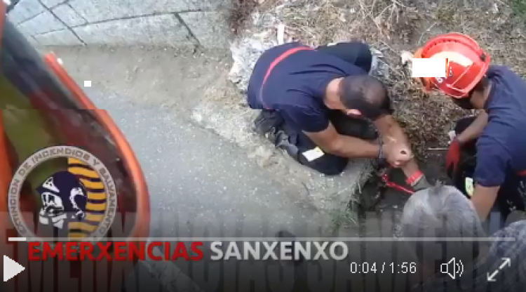 Emerxencias de Sanxenxo rescatando al gato