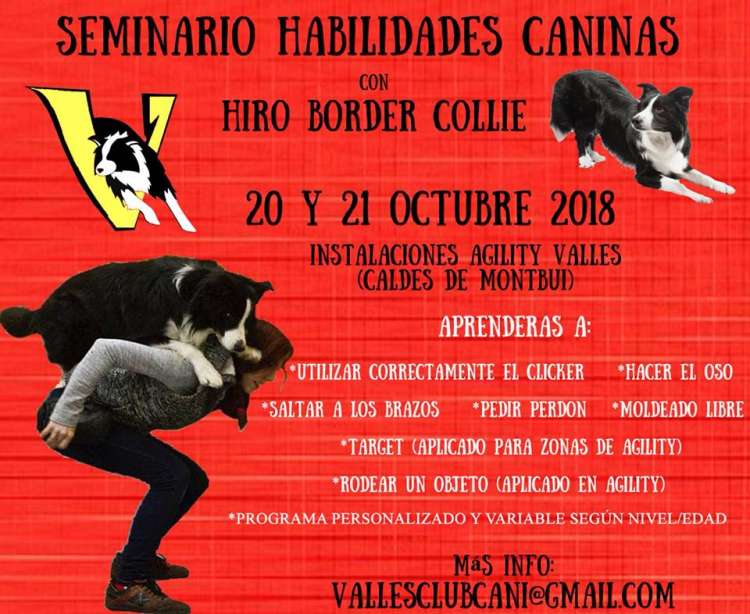 CLUB DE AGILITY VALLES CLUB CANI - Cursos. SEMINARIO DE HABILIDADES CANINAS (Barcelona   España)