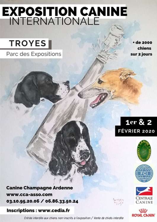 Société Canine Champagne-Ardenne - SCCA - Belleza. EXPOSITION CANINE INTERNATIONALE (CACS   CACIB) (Aube   Francia)