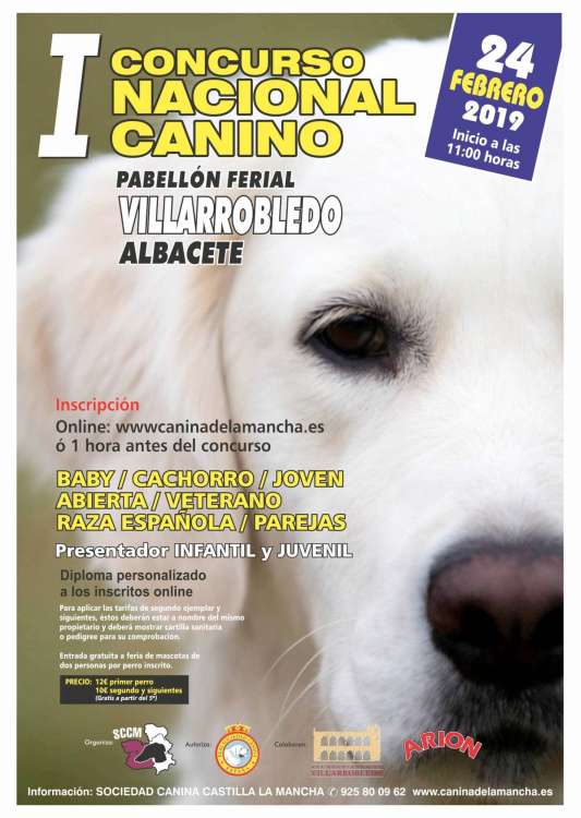Sociedad Canina de Castilla la Mancha - Belleza. I CONCURSO NACIONAL CANINO DE VILLARROBLEDO  (Albacete   España)