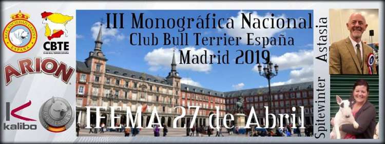 CLUB BULL TERRIER ESPAÑA - Belleza. III Monográfica Nacional CAC del Club Bull Terrier España (Madrid   España)