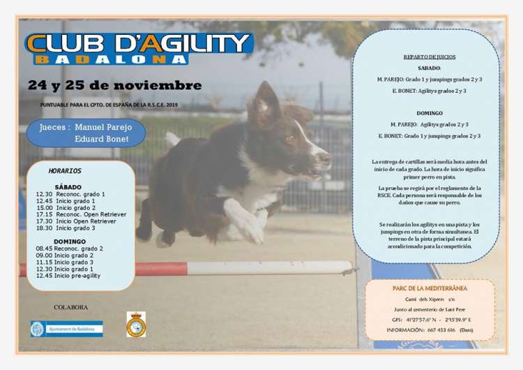 Prueba de Agility