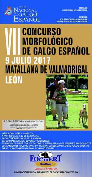VII CONCURSO MORFOLÓGICO DEL GALGO ESPAÑOL VII CONCURSO MORFOLÓGICO DEL GALGO ESPAÑOL