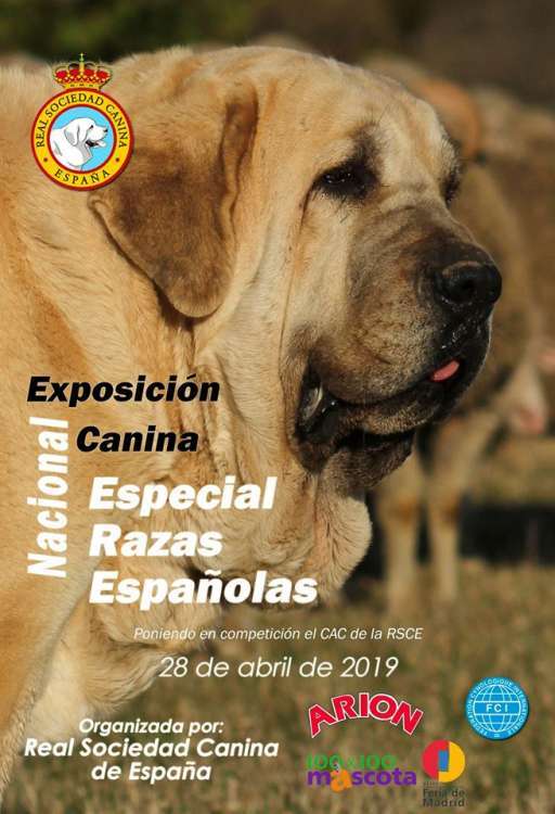 PETSmania - Exposición Canina Nacional   Especial Razas Españolas