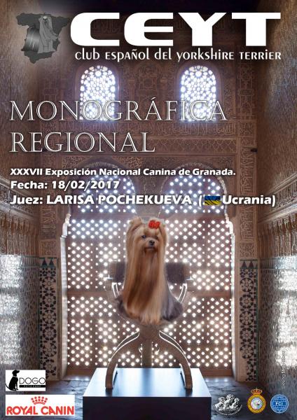 Belleza. EXPOSICIÓN MONOGRÁFICA REGIONAL del YORKSHIRE TERRIER (Granada   España)