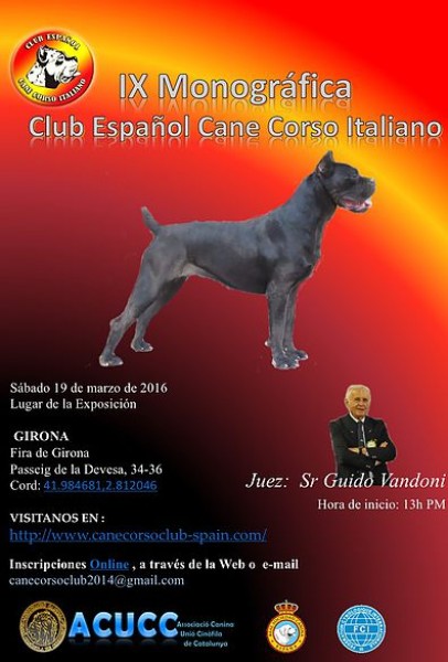 Club Español del Cane Corso Italiano - Belleza. IX MONOGRÁFICA DEL CLUB ESPAÑOL DEL CANE CORSO ITALIANO (Girona   España)