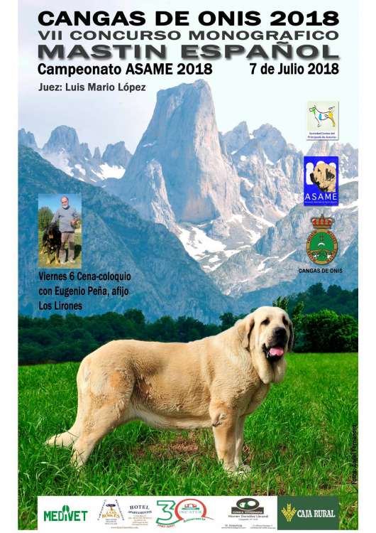 VII Concurso Monográfico Mastín Español de Cangas de Onís (ASAME)