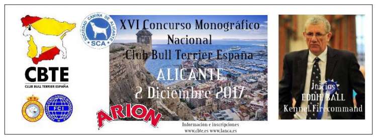 CLUB BULL TERRIER ESPAÑA - Belleza. XVI CONCURSO MONOGRÁFICO CLUB BULL TERRIER (Alacant   España)