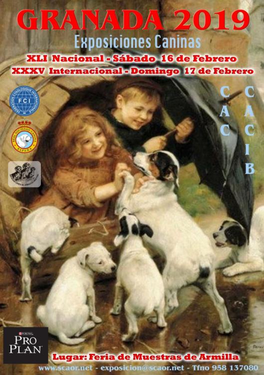 Sociedad Canina de Andalucía Oriental - Belleza. XXXV EXPOSICIÓN  INTERNACIONAL GRANADA 2019 (Granada   España)